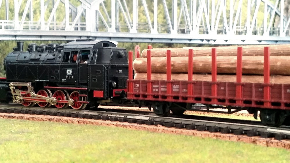BR 81 mit Holztransport